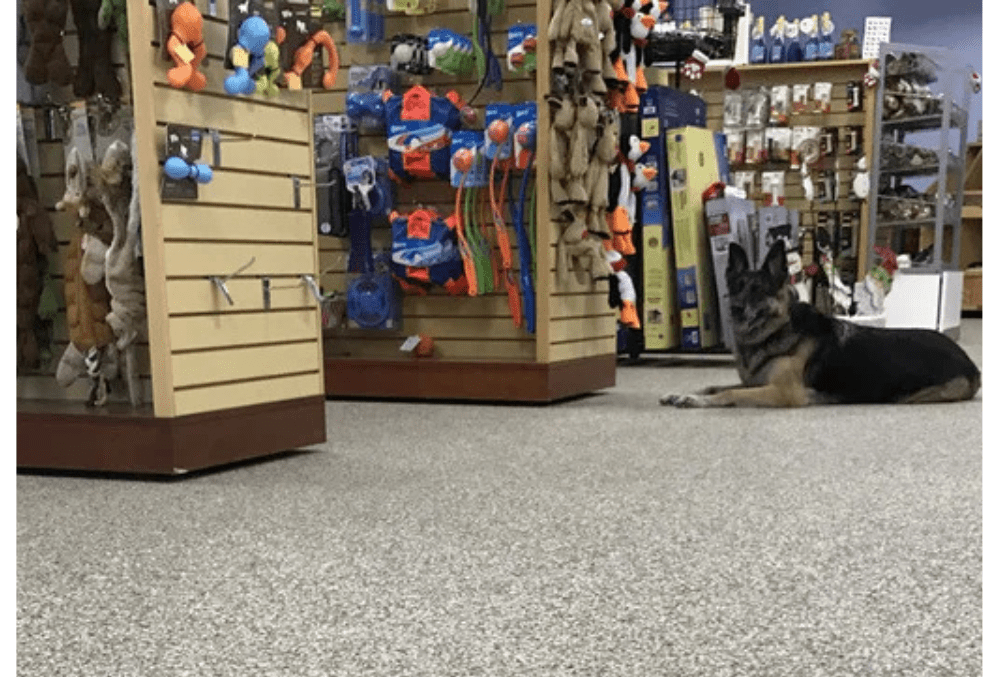 retail store epoxy flooring