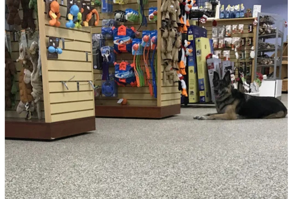 retail store epoxy flooring