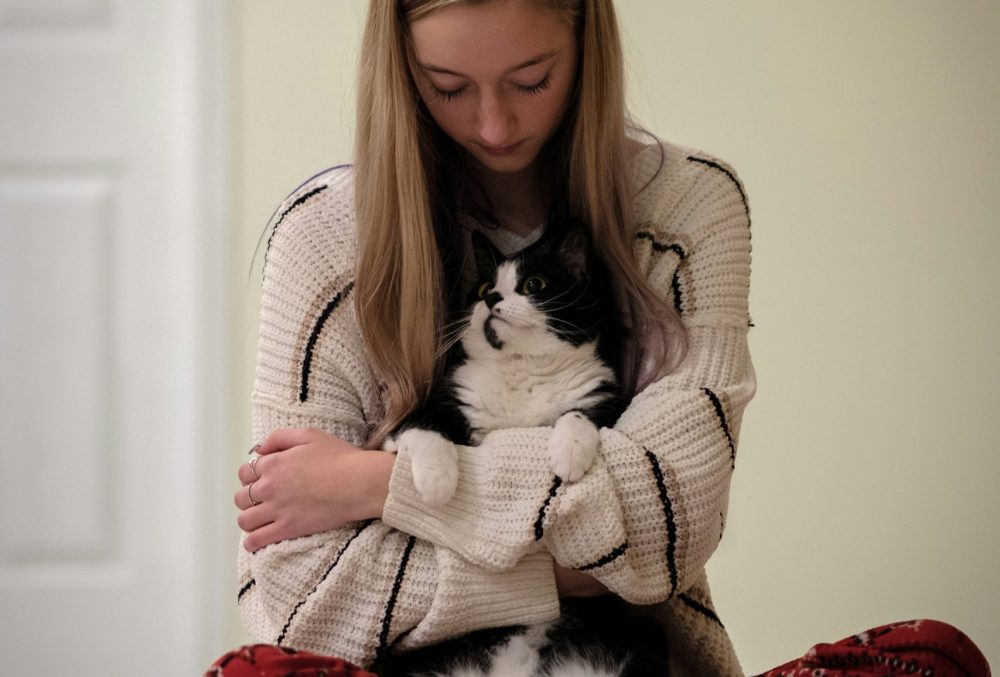 owner and pet owner and pet